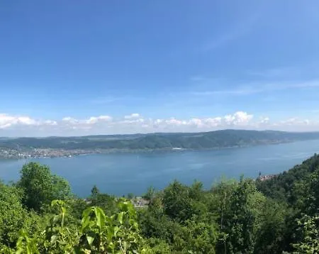 Lejlighed Haid Bodensee, Umgebung Bodman-ludwigshafen, Radolfzell, Ueberlingen, Luxus Haid
